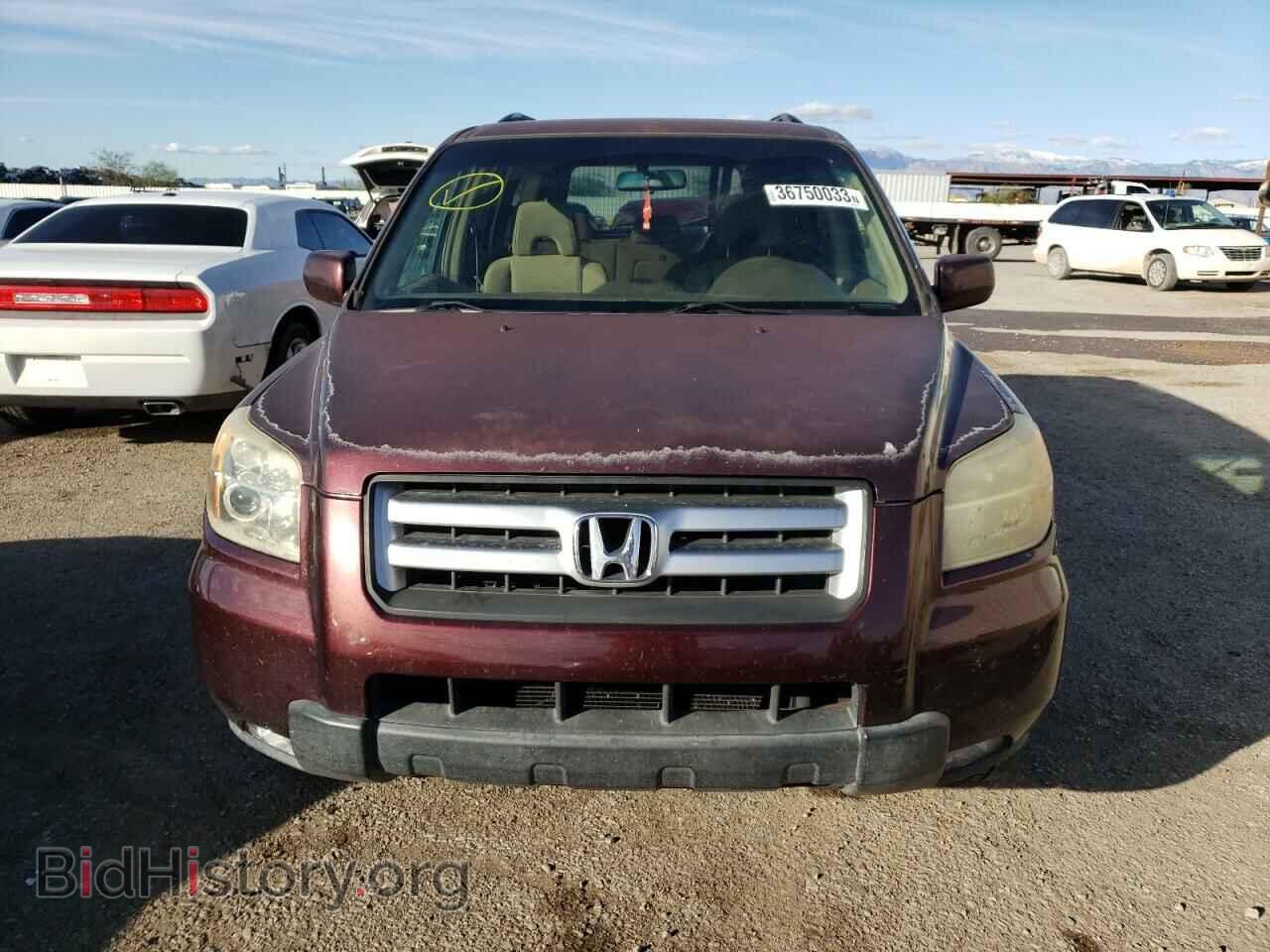 2007 HONDA PILOT - VIN: 5FNYF284X7B005271 - Фото 5