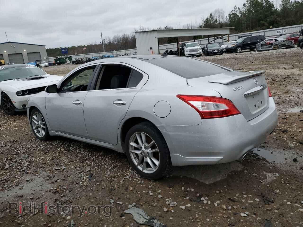 2011 NISSAN MAXIMA - VIN: 1N4AA5AP5BC841183 - Фото 2