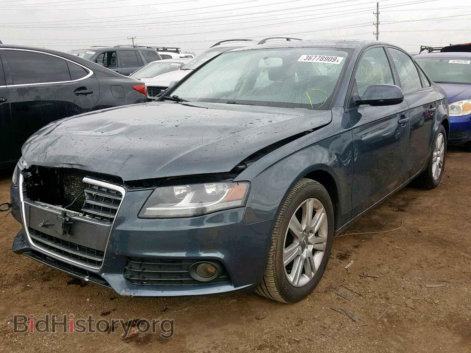 2010 AUDI A4 - VIN: WAUBFAFL9AN013149 - Фото 2