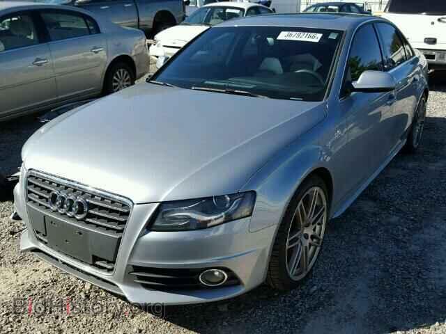 2011 AUDI A4 - VIN: WAUKFAFL2BN017948 - Фото 2