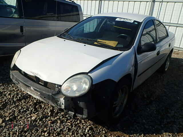 2004 DODGE NEON - VIN: 1B3ES26C54D624292 - Фото 2