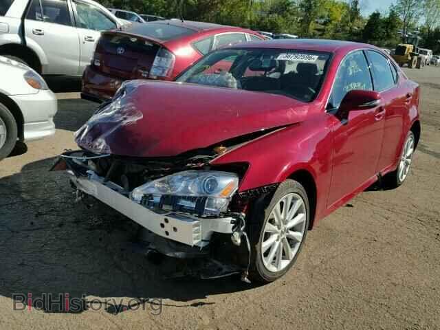 2010 LEXUS IS250 - VIN: JTHCF5C24A5043362 - Фото 2