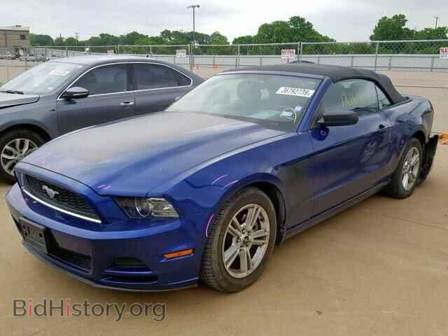 2013 FORD MUSTANG - VIN: 1ZVBP8EM9D5227286 - Фото 2