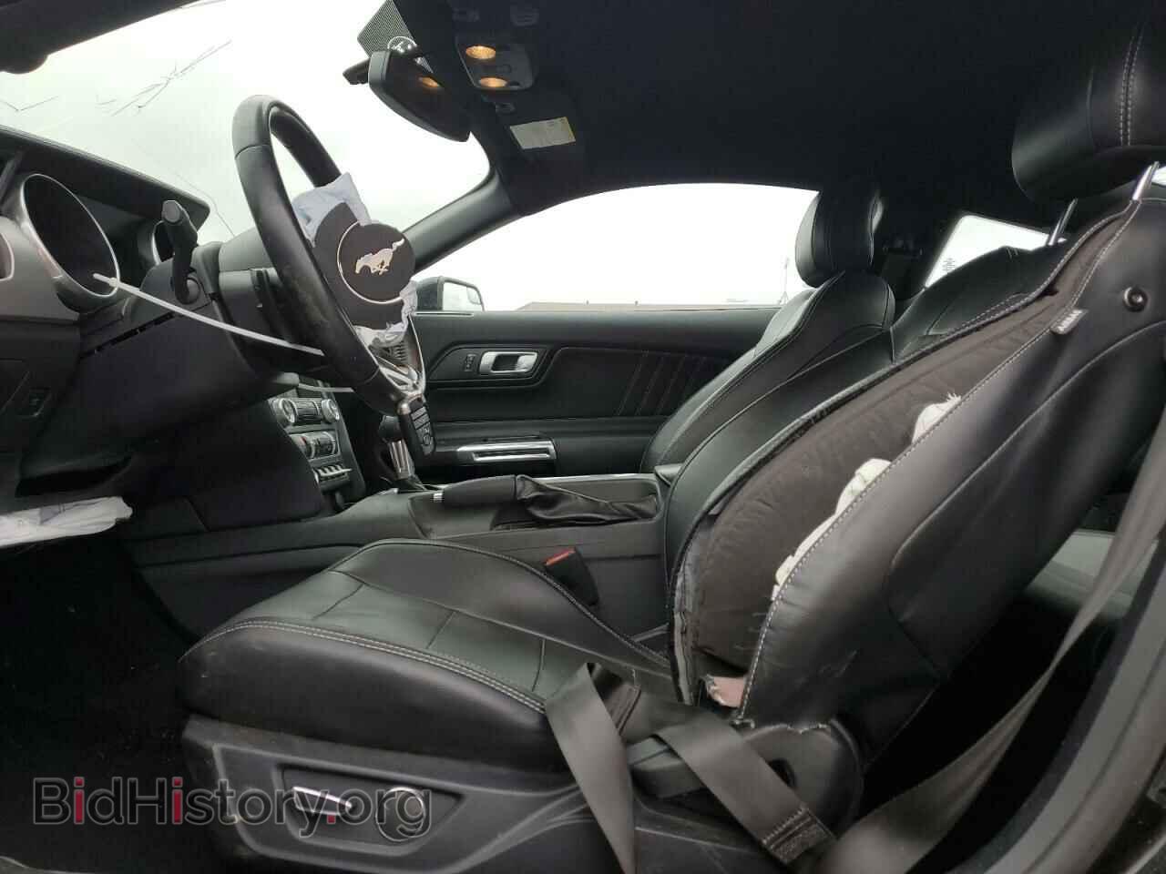 2019 FORD ALL Models - VIN: 1FA6P8TH9K5203955 - Фото 7