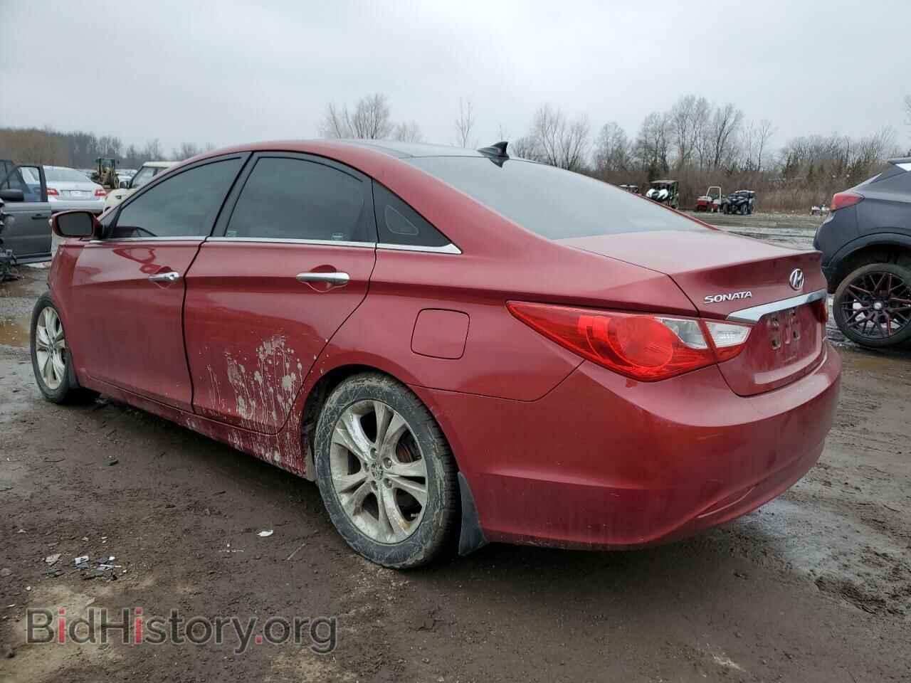 2013 HYUNDAI SONATA - VIN: 5NPEC4AC9DH635367 - Фото 2
