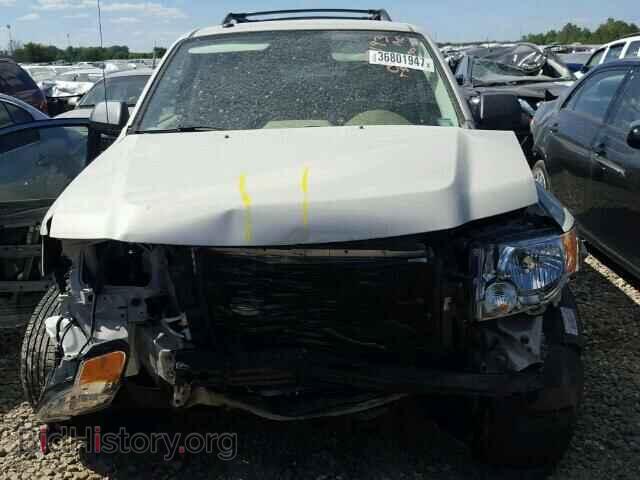 2009 FORD ESCAPE - VIN: 1FMCU03G69KB09652 - Фото 7