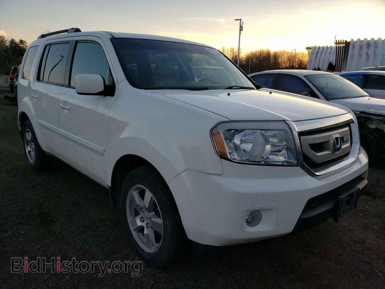 Photo 5FNYF4H51AB014016 - HONDA PILOT 2010