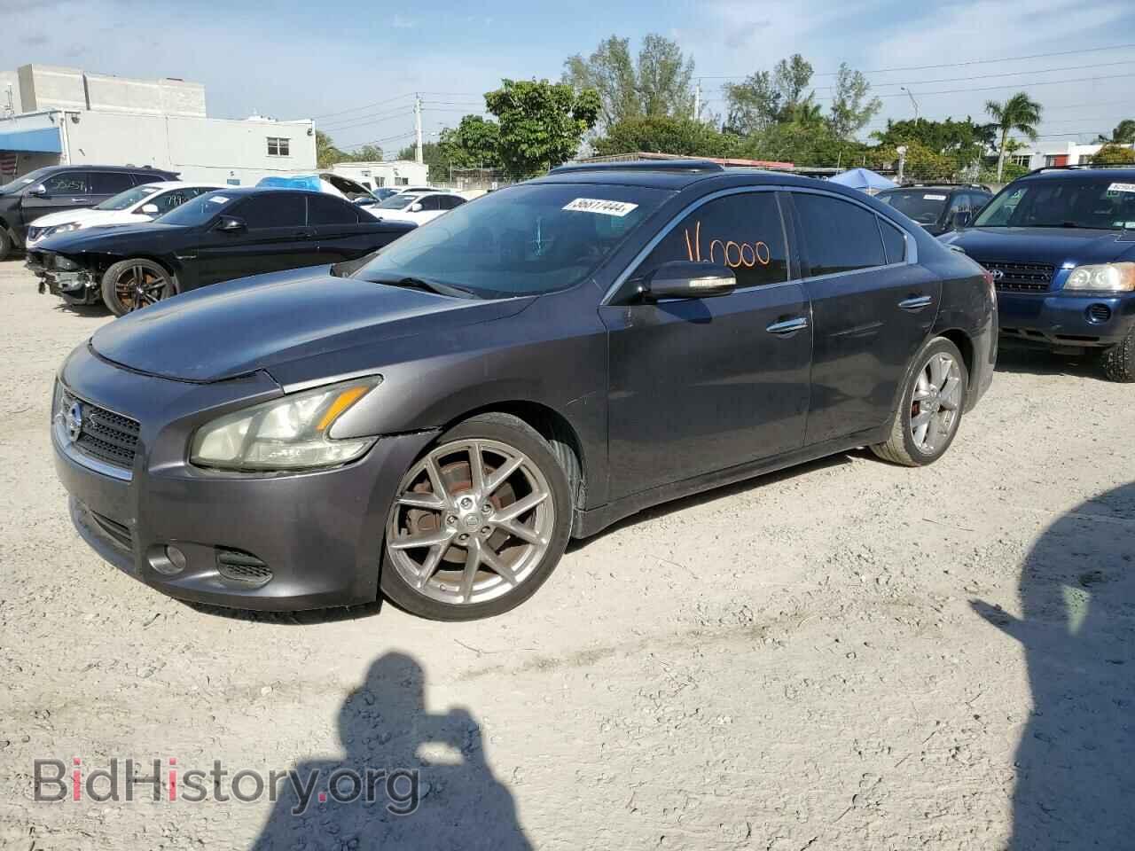 Фотография 1N4AA5AP9BC849867 - NISSAN MAXIMA 2011