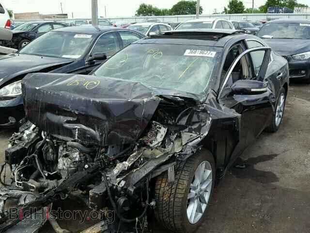 2010 NISSAN MAXIMA - VIN: 1N4AA5AP0AC845172 - Фото 2