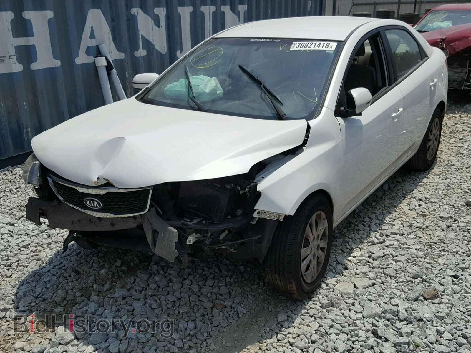 2011 KIA FORTE EX - VIN: KNAFU4A23B5365961 - Фото 2