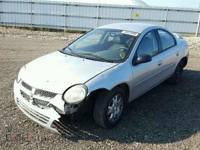 2004 DODGE NEON - VIN: 1B3ES56C44D566922 - Фото 2