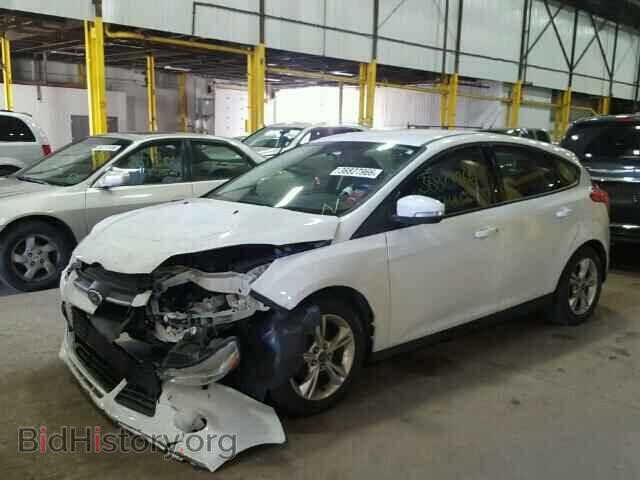 2013 FORD FOCUS - VIN: 1FADP3K25DL203764 - Фото 2