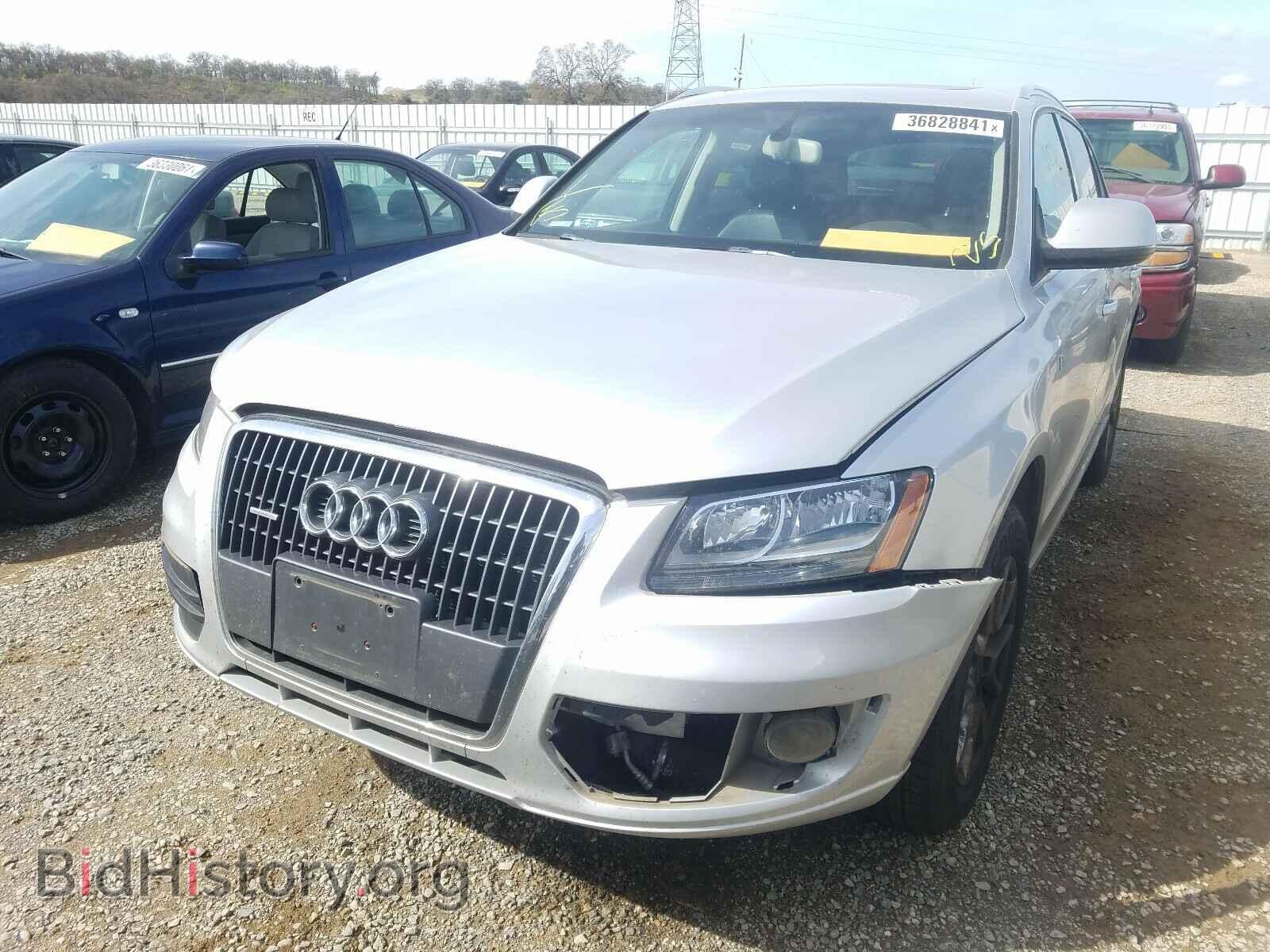2011 AUDI Q5 - VIN: WA1CFAFP9BA041661 - Фото 2