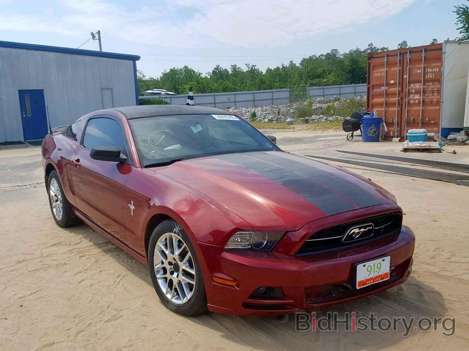 Photo 1ZVBP8AM2E5308850 - FORD MUSTANG 2014