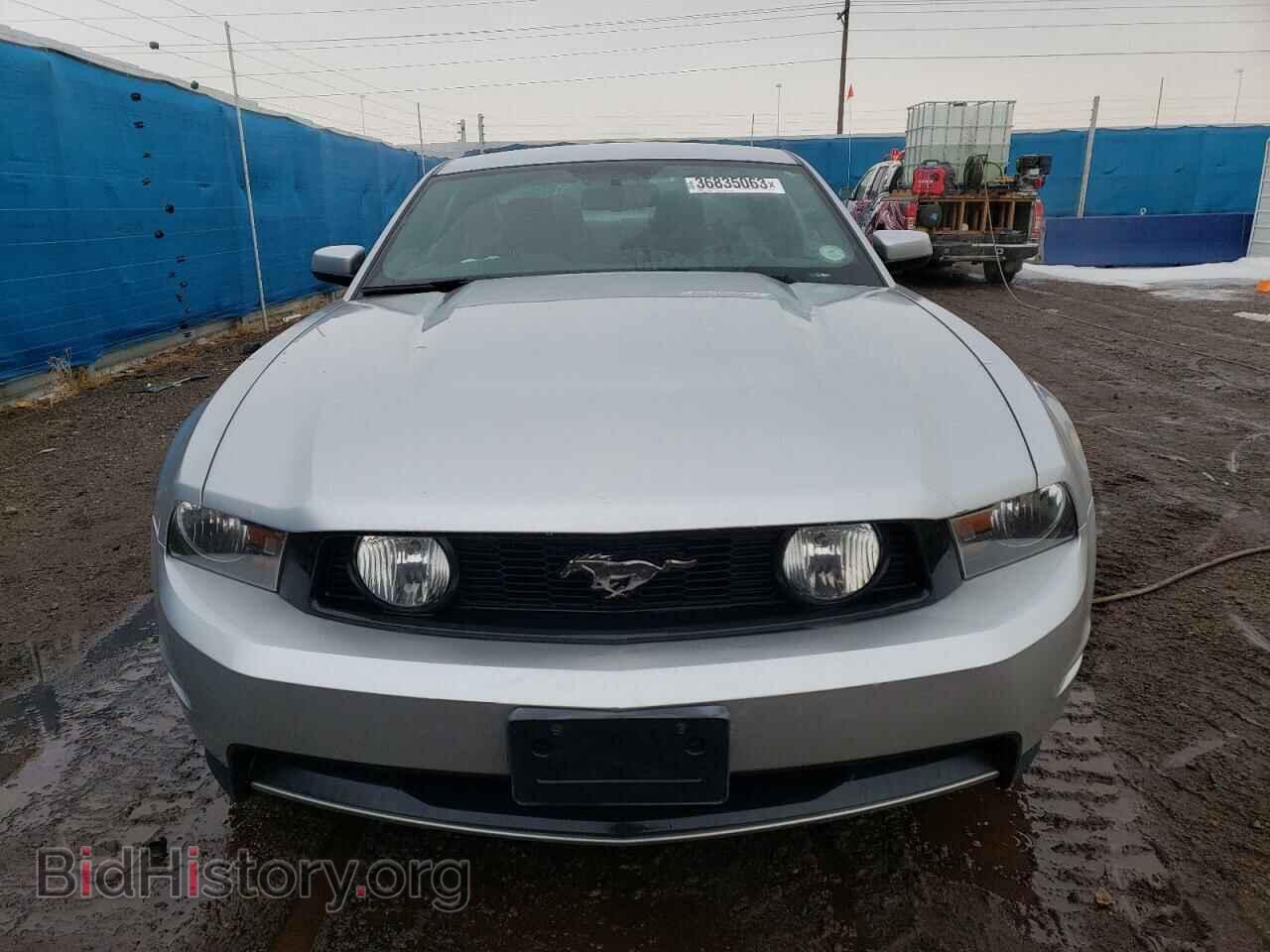 2011 FORD MUSTANG - VIN: 1ZVBP8CF0B5127918 - Фото 5