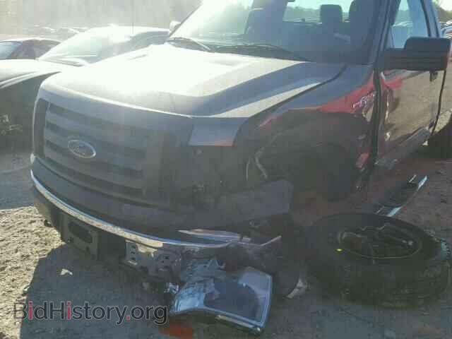 2011 FORD F150 - VIN: 1FTMF1EF8BFA31175 - Фото 9