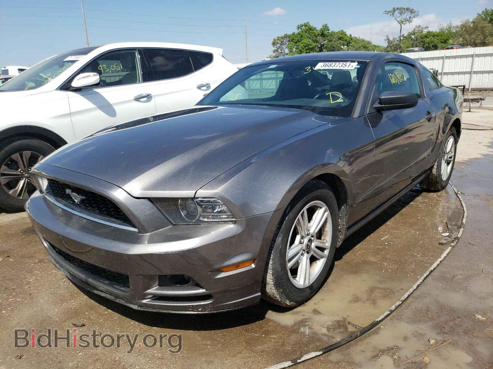 2014 FORD MUSTANG - VIN: 1ZVBP8AM9E5249280 - Фото 2