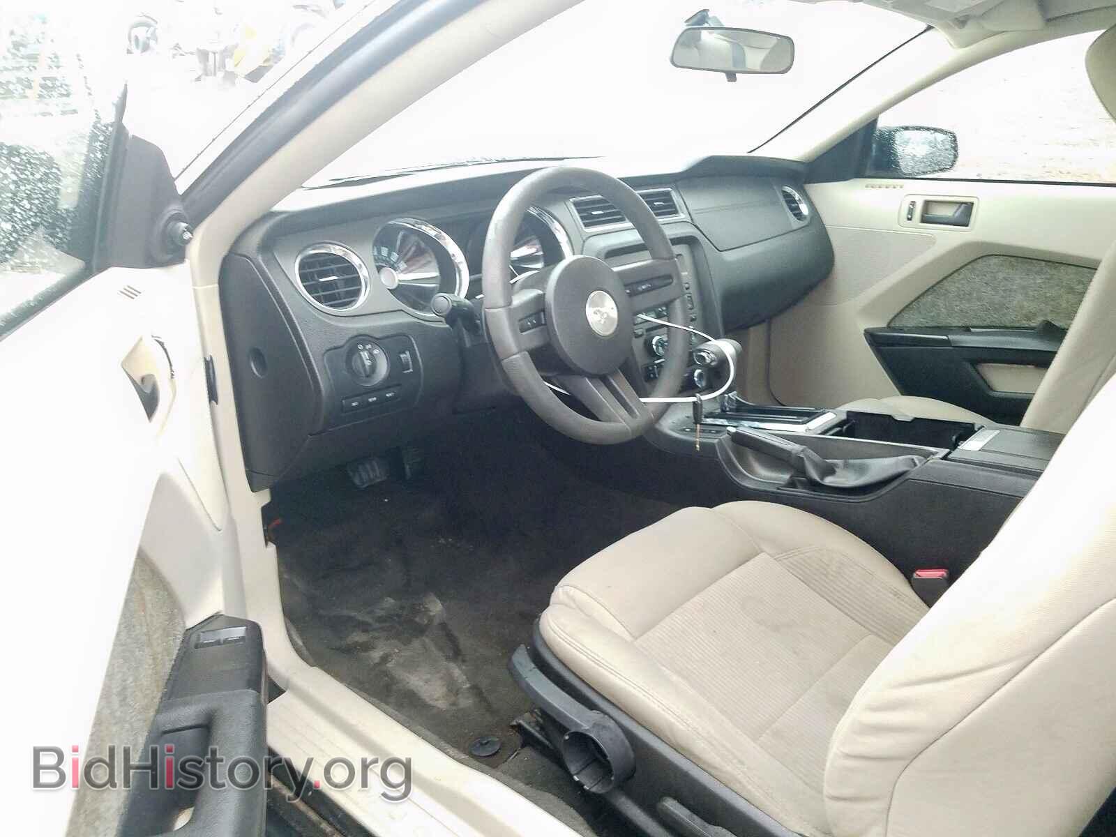 2011 FORD MUSTANG - VIN: 1ZVBP8AM8B5161302 - Фото 9