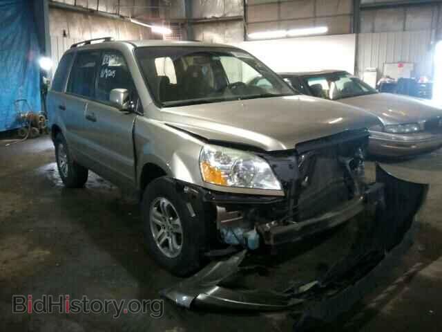Фотография 5FNYF184X5B061430 - HONDA PILOT 2005