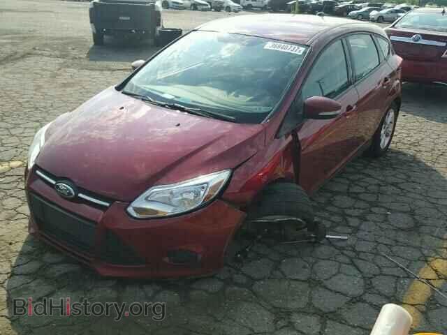 2013 FORD FOCUS - VIN: 1FADP3K21DL108554 - Фото 2