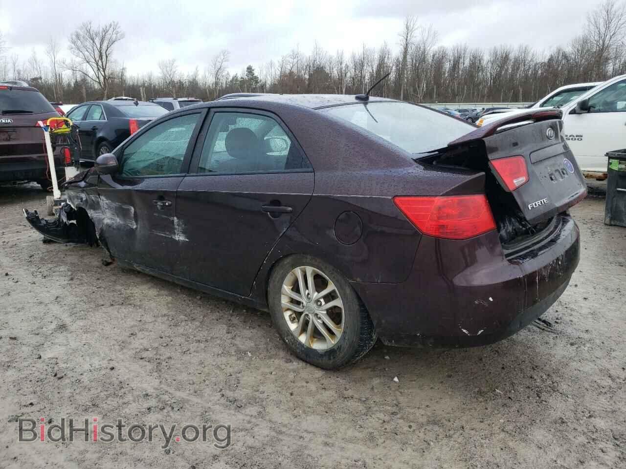 2011 KIA FORTE - VIN: KNAFU4A23B5398975 - Фото 2