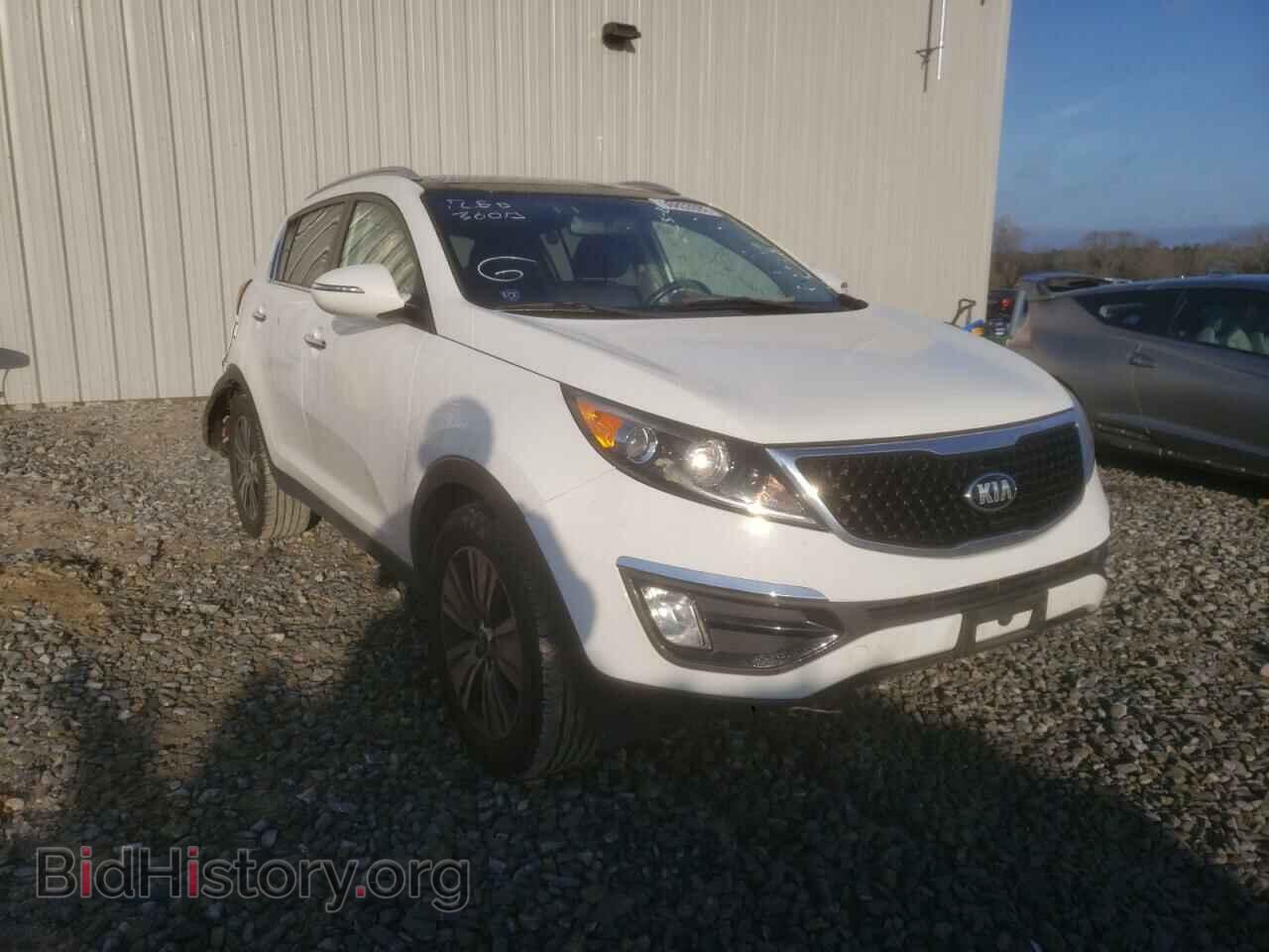 Фотография KNDPC3AC4E7635527 - KIA SPORTAGE 2014