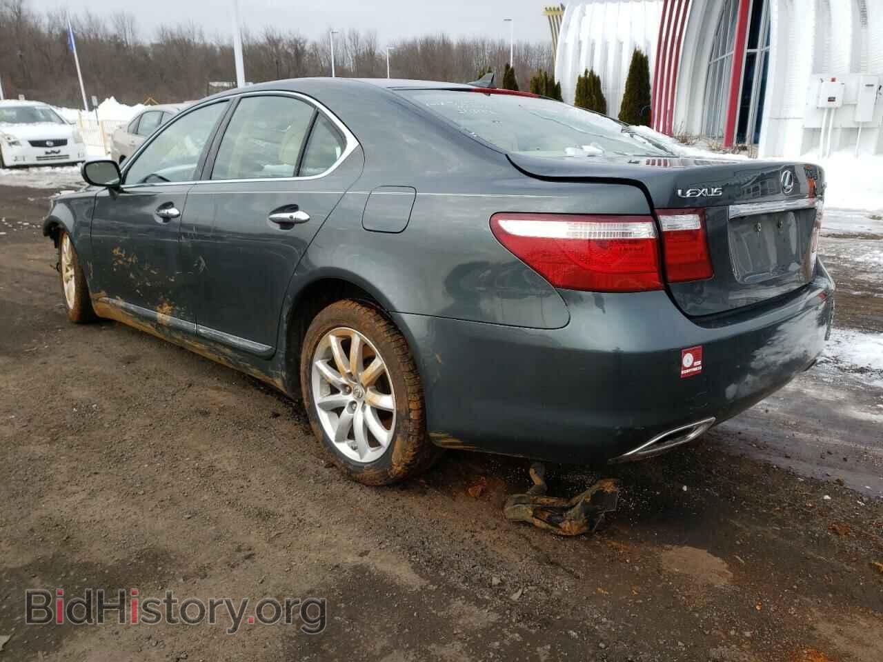 2009 LEXUS LS460 - VIN: JTHCL46F995002612 - Фото 3