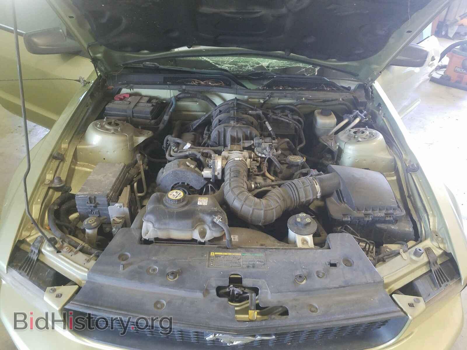 2005 FORD MUSTANG - VIN: 1ZVFT80N955188021 - Фото 7