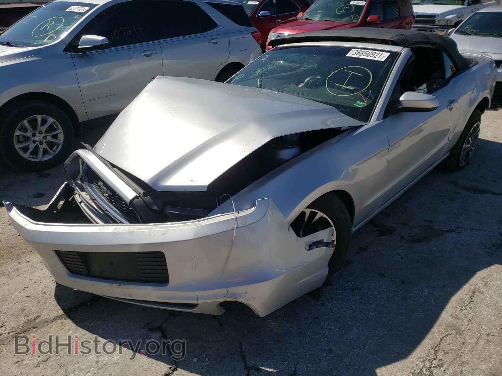 2014 FORD MUSTANG - VIN: 1ZVBP8EM4E5226984 - Фото 2