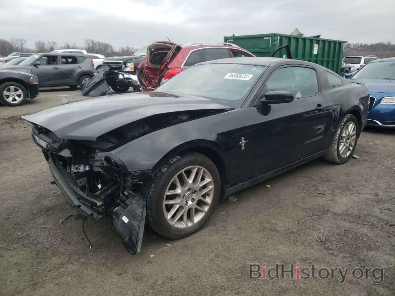 Photo 1ZVBP8AM0D5241471 - FORD MUSTANG 2013