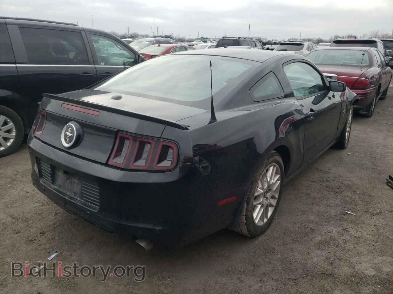 2013 FORD MUSTANG - VIN: 1ZVBP8AM0D5241471 - Фото 3
