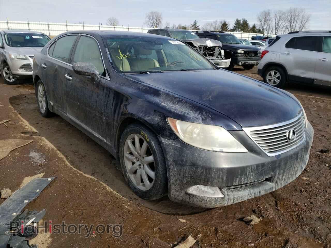 Фотография JTHGL46F975007498 - LEXUS LS460 2007