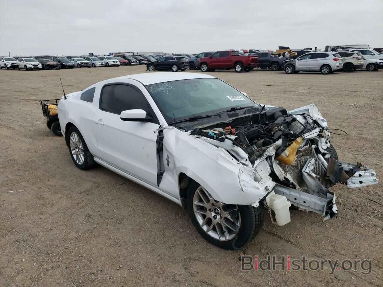 Photo 1ZVBP8AM1E5280863 - FORD MUSTANG 2014
