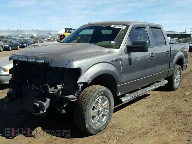 2013 FORD F150 - VIN: 1FTFW1EF2DKD35976 - Фото 2