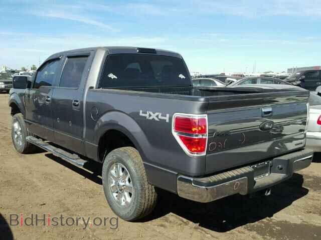 2013 FORD F150 - VIN: 1FTFW1EF2DKD35976 - Фото 3