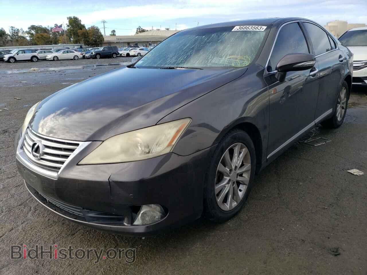 Фотография JTHBK1EG8A2367442 - LEXUS ES350 2010