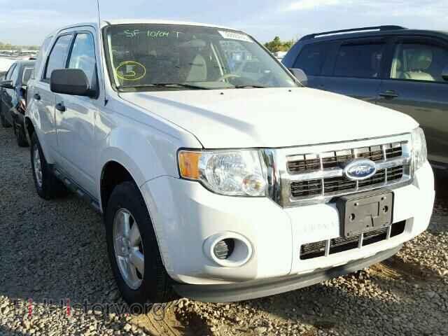 Фотография 1FMCU0C72BKA97022 - FORD ESCAPE 2011