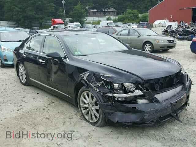Фотография JTHCL5EF2A5006688 - LEXUS LS460 2010