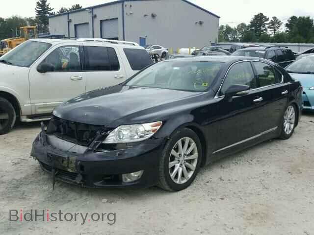 2010 LEXUS LS460 - VIN: JTHCL5EF2A5006688 - Фото 2