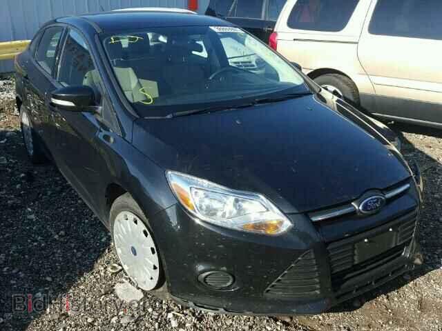 Photo 1FADP3F26DL321641 - FORD FOCUS 2013