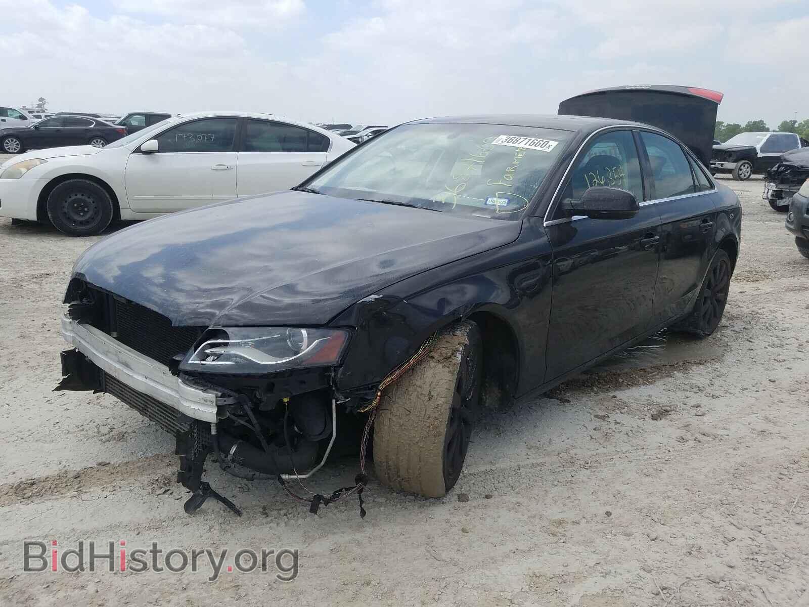 2010 AUDI A4 - VIN: WAUEFAFL8AN001846 - Фото 2