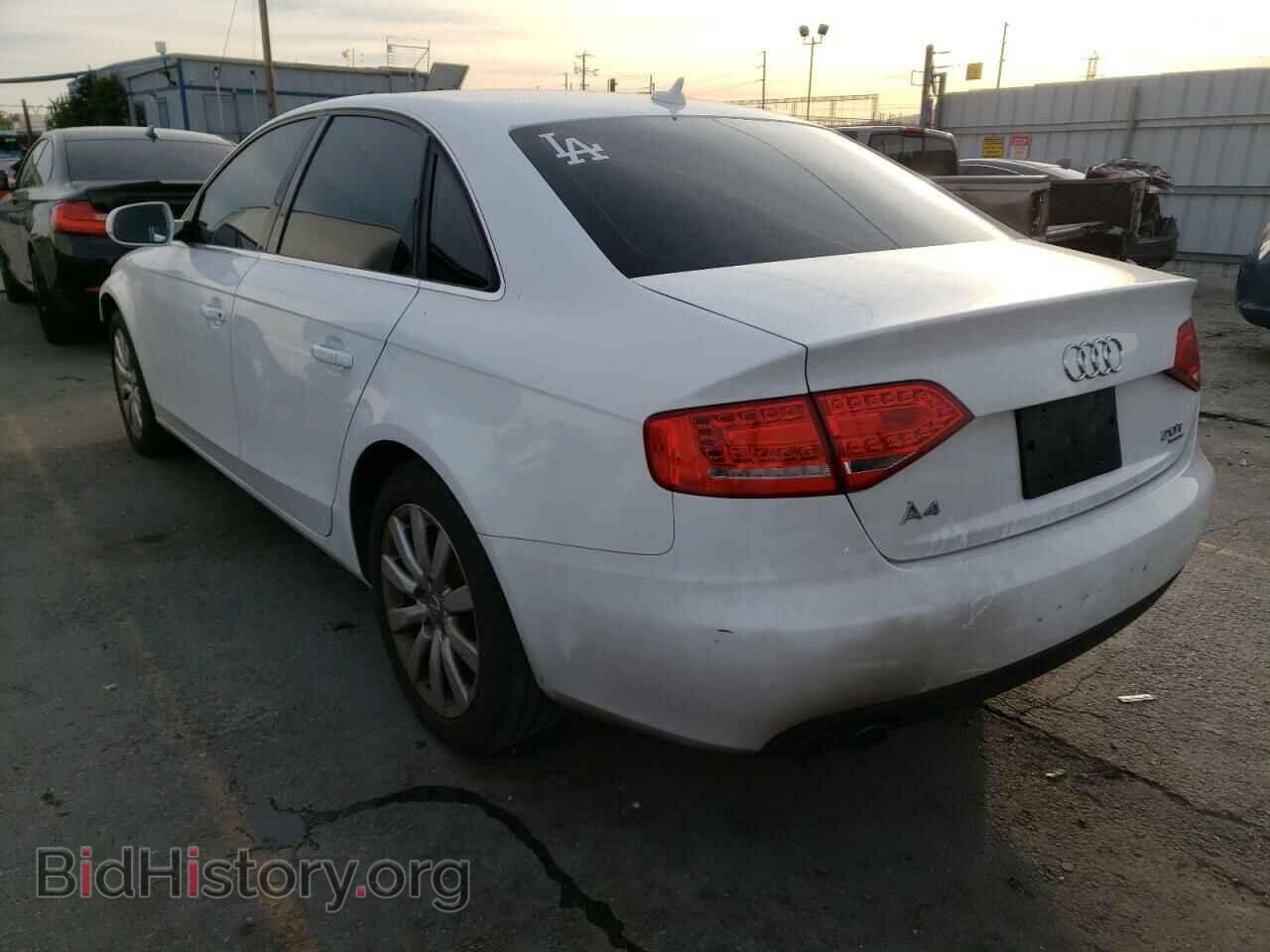2011 AUDI A4 - VIN: WAUFFAFL3BN052435 - Фото 2