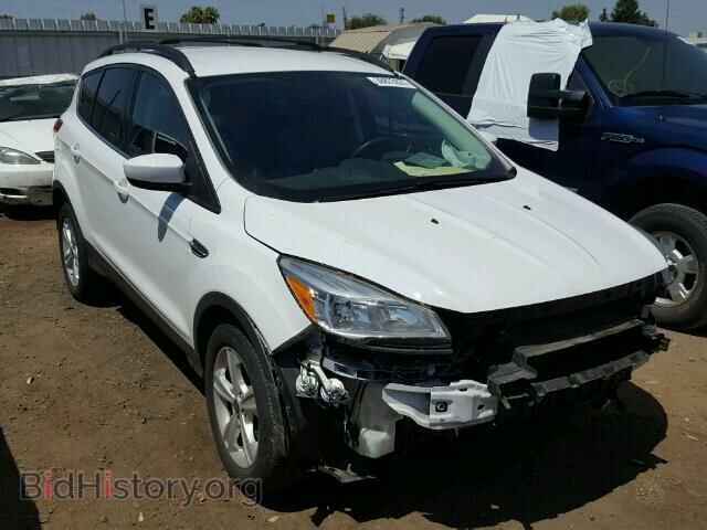 Фотография 1FMCU0GX7DUB23695 - FORD ESCAPE 2013