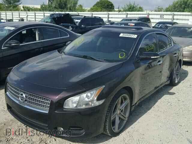 2010 NISSAN MAXIMA - VIN: 1N4AA5AP1AC839056 - Фото 2