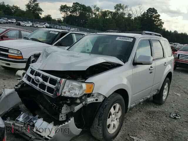 2011 FORD ESCAPE - VIN: 1FMCU9EG7BKC13185 - Фото 2