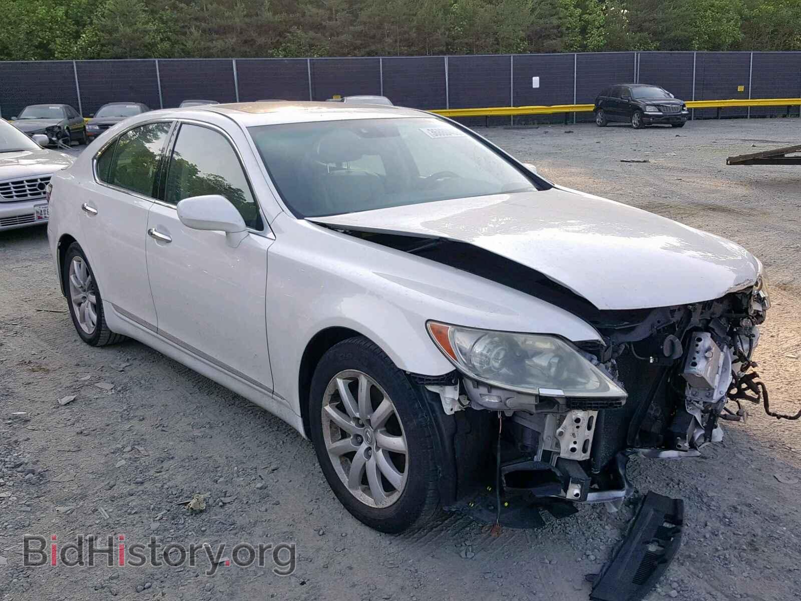 Фотография JTHBL46FX85056205 - LEXUS LS460 2008
