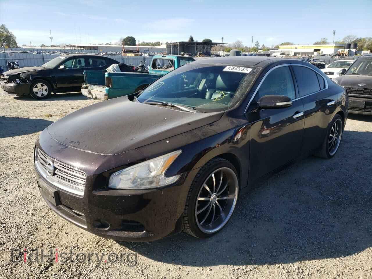 2010 NISSAN MAXIMA - VIN: 1N4AA5AP8AC862334 - Фото 2