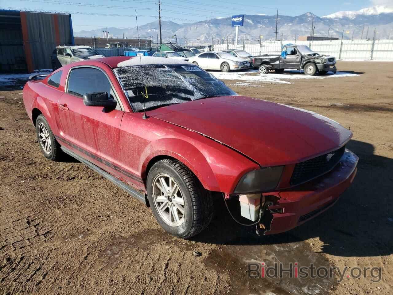 Photo 1ZVHT80N685107053 - FORD MUSTANG 2008