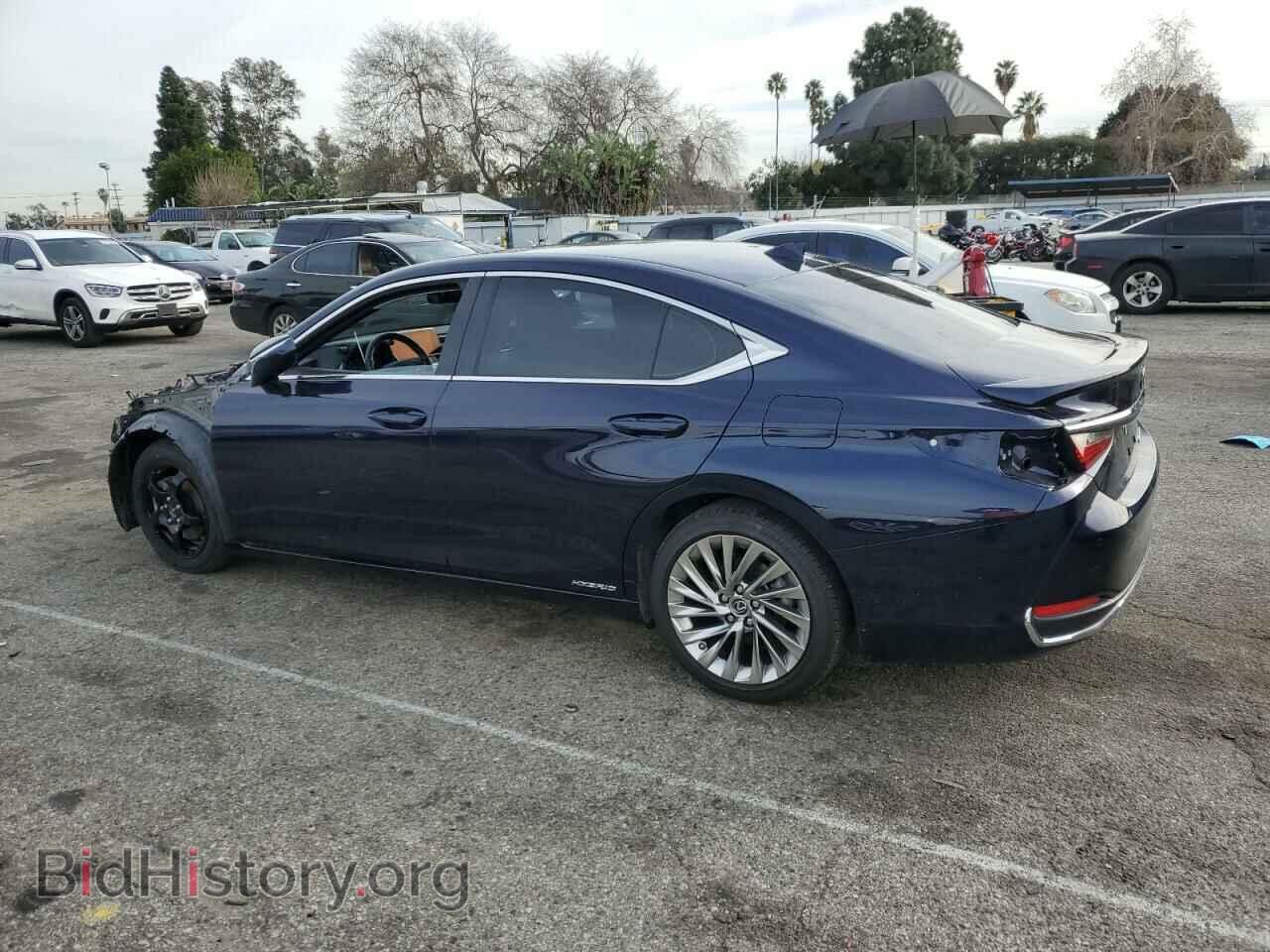 2019 LEXUS ES300 - VIN: JTHB21B19K2015102 - Фото 2