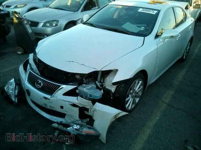 2010 LEXUS IS250 - VIN: JTHBF5C28A2098698 - Фото 2